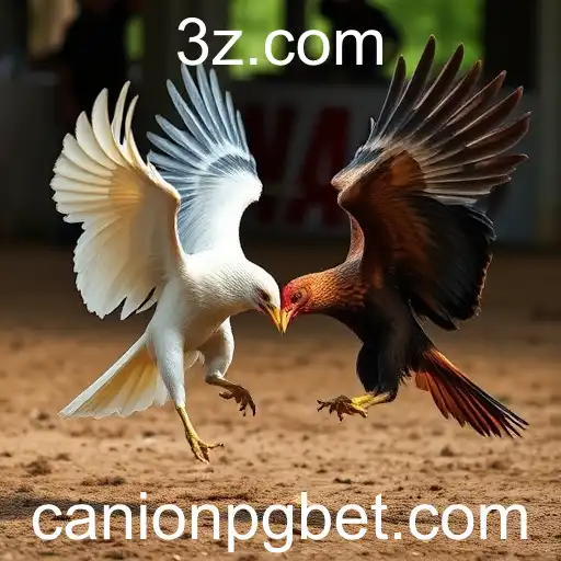 Jogos de Sabong e a Modernização através de CanionPG